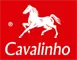 Logo Cavalinho