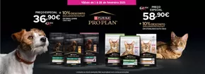 Catálogo Petoutlet em Setúbal | Preço Especial | 2025-02-03T00:00:00.000Z - 2025-02-28T00:00:00.000Z